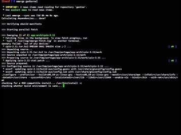 Gentoo TTY