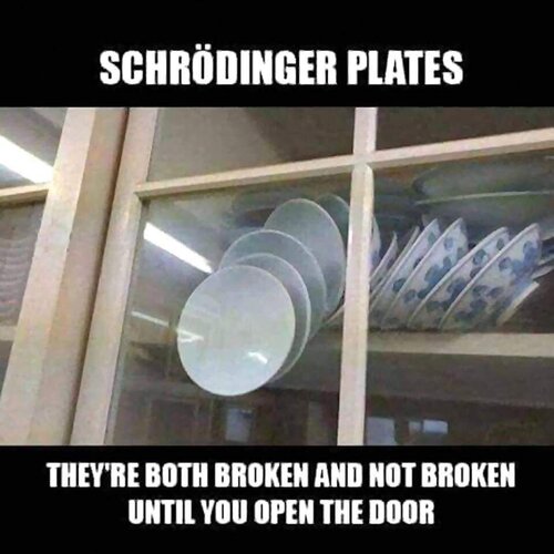 Shrodinger&rsquo;s Plates